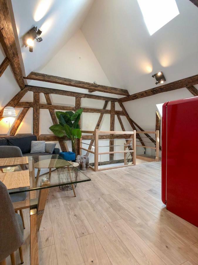 Beauty & The Beast - Old Town Cosy Apartments Colmar Exterior foto