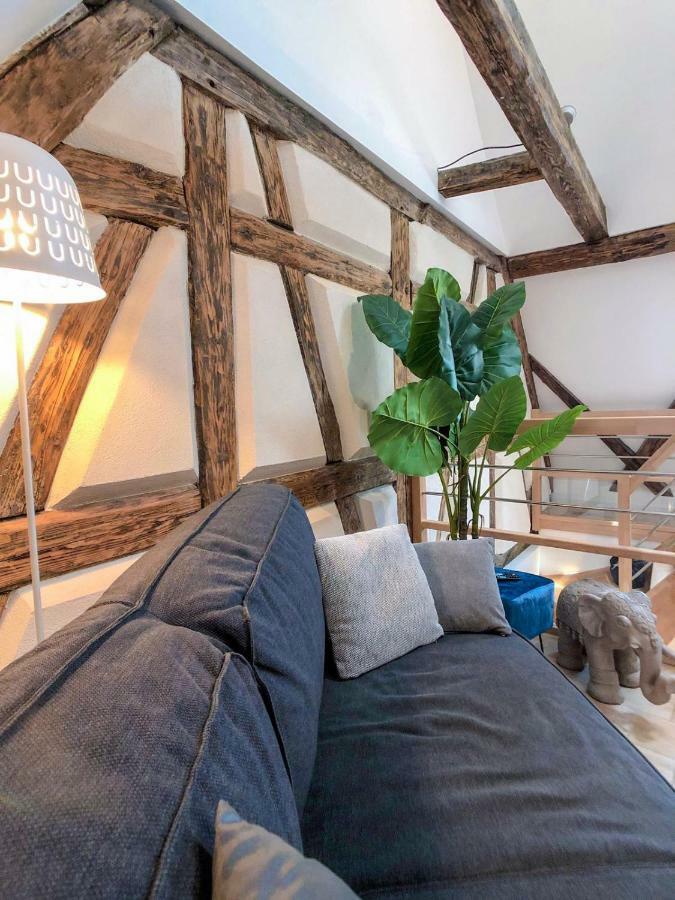 Beauty & The Beast - Old Town Cosy Apartments Colmar Exterior foto